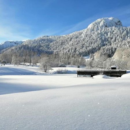 Chalet des cascades Le Mont-Dore Extérieur photo