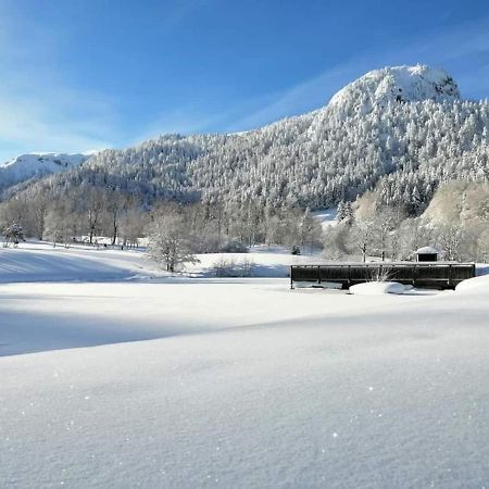 Villa Chalet des cascades à Le Mont-Dore Extérieur photo