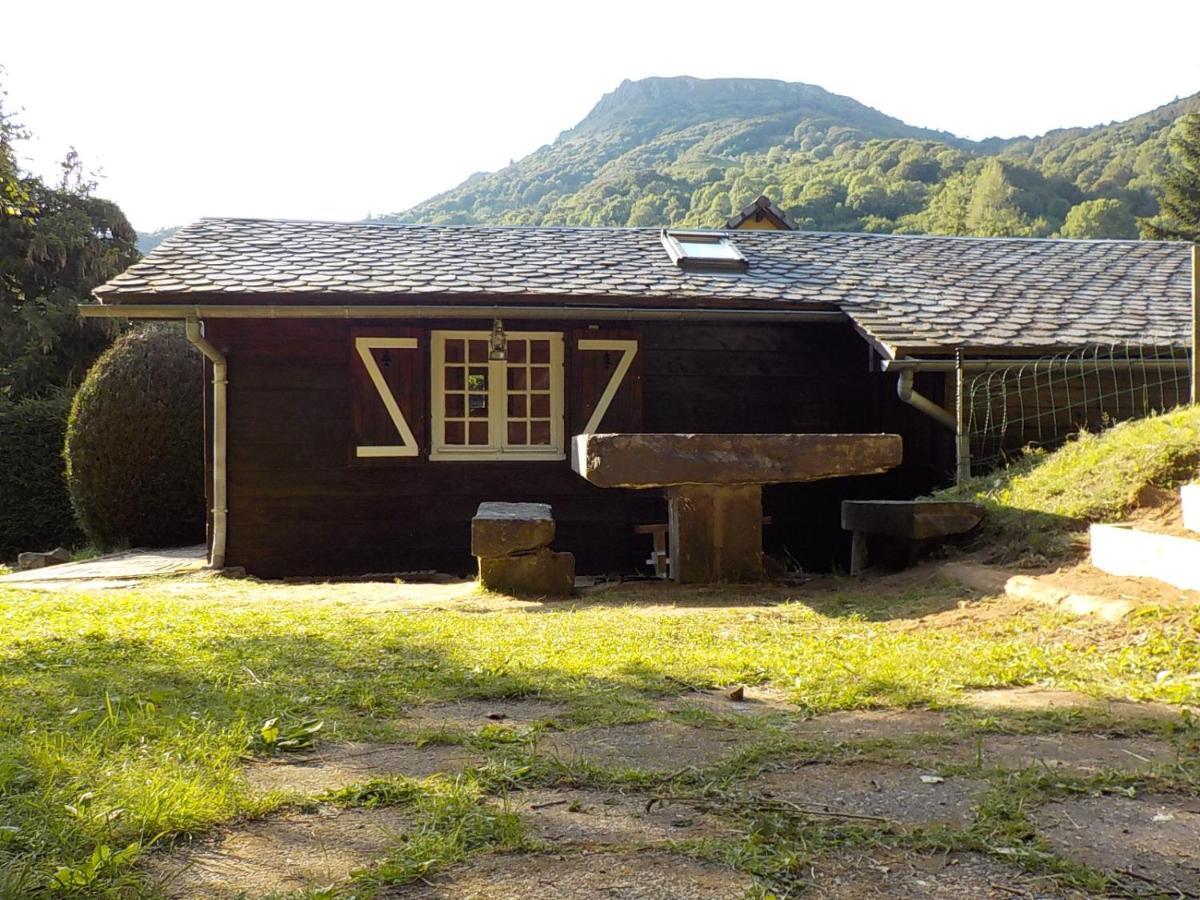 Villa Chalet des cascades à Le Mont-Dore Extérieur photo