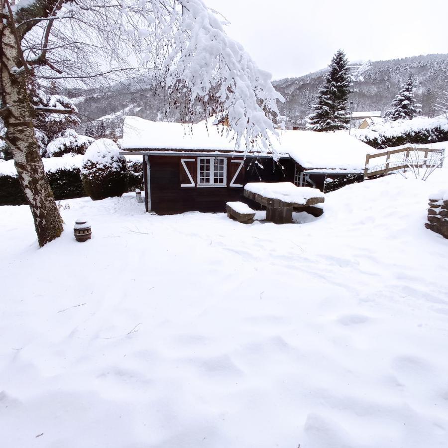 Villa Chalet des cascades à Le Mont-Dore Extérieur photo