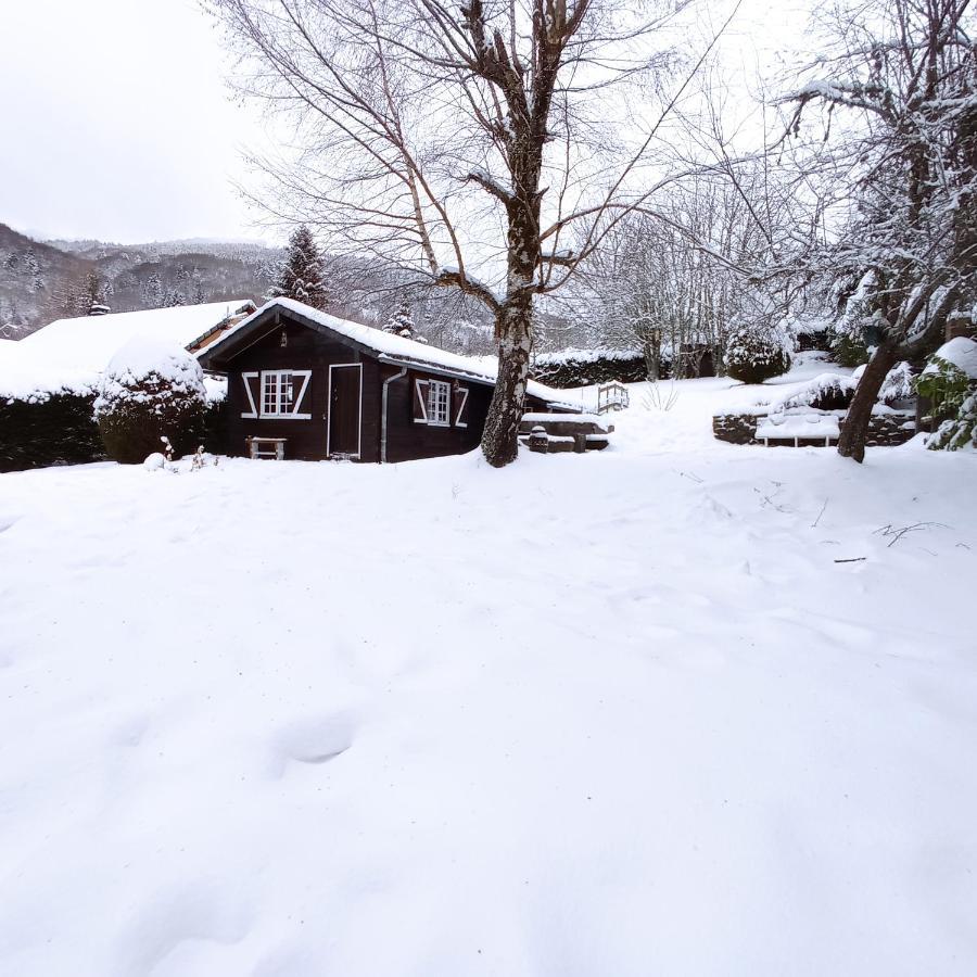 Chalet des cascades Le Mont-Dore Extérieur photo