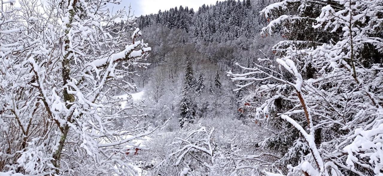 Chalet des cascades Le Mont-Dore Extérieur photo