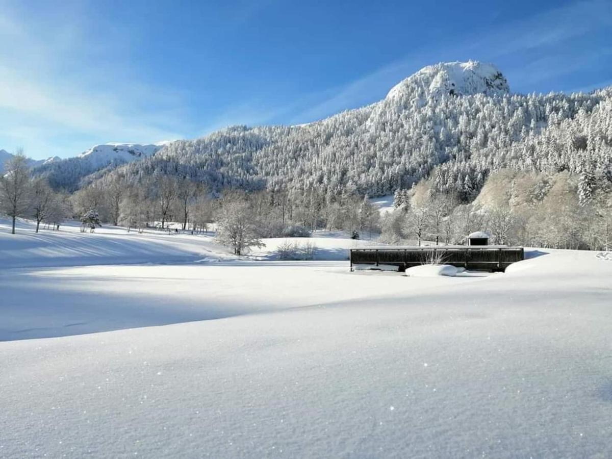 Villa Chalet des cascades à Le Mont-Dore Extérieur photo